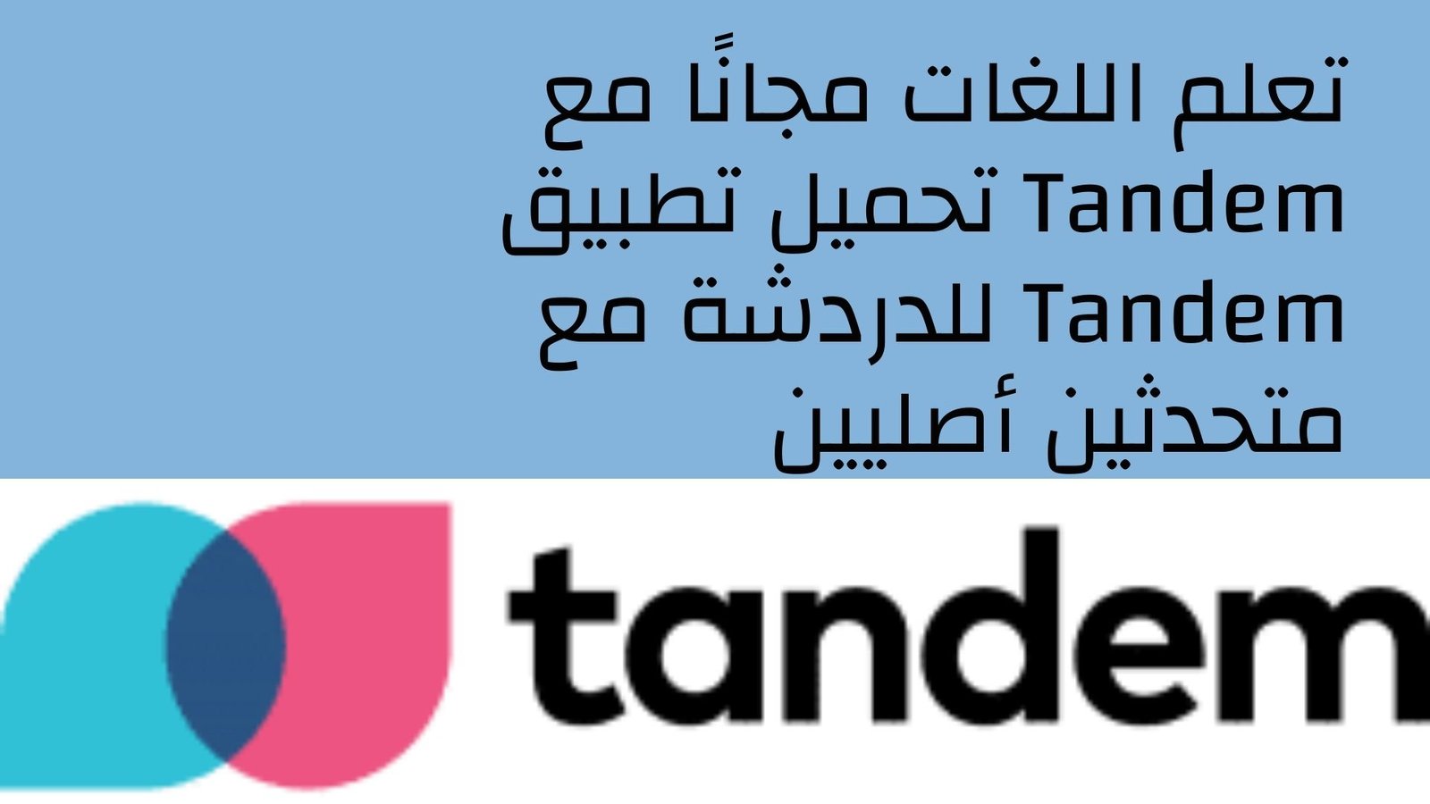 مواقع الدردشة الرابعة: تطبيق Tandem